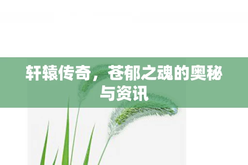 苍郁之魂的奥秘与资讯图片