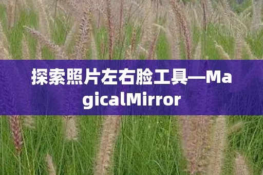 MagicalMirror图片