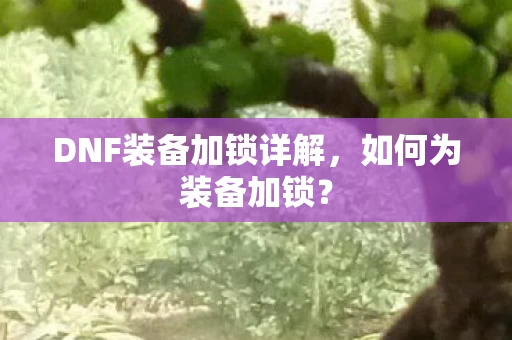 DNF装备加锁详解图片