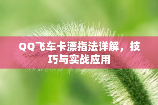 QQ飞车卡漂指法详解图片