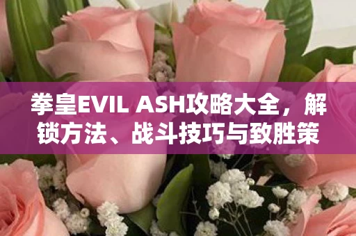 拳皇EVIL ASH攻略大全图片