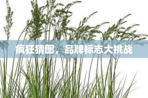 品牌标志大挑战图片