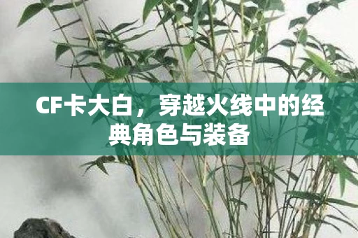 穿越火线中的经典角色与装备图片