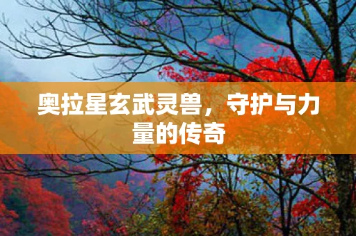 守护与力量的传奇图片