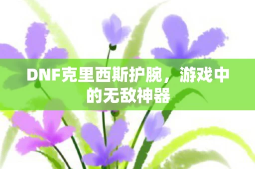 DNF克里西斯护腕图片