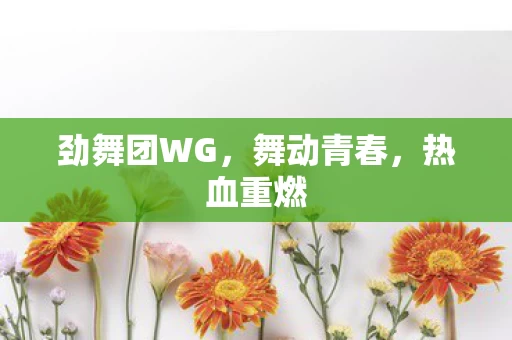 劲舞团WG图片