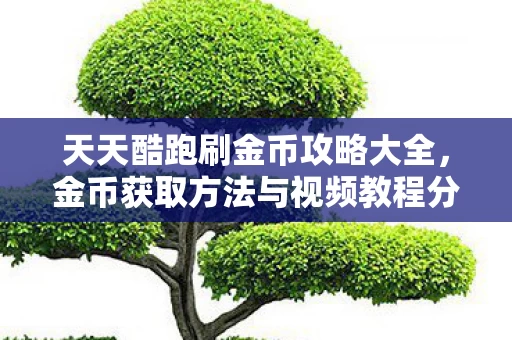 金币获取方法与视频教程分享图片