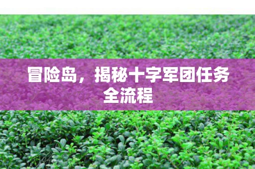 揭秘十字军团任务全流程图片