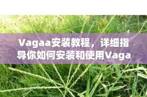 详细指导你如何安装和使用Vagaa图片