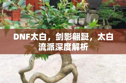 太白流派深度解析图片