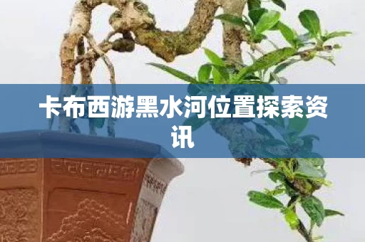 卡布西游黑水河位置探索资讯 卡布西游黑水河位置探索资讯