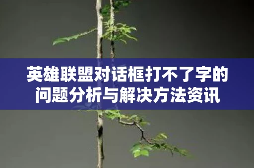英雄联盟对话框打不了字的问题分析与解决方法资讯 英雄联盟对话框打不了字的问题分析与解决方法资讯