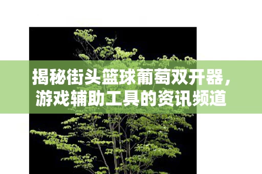 揭秘街头篮球葡萄双开器图片