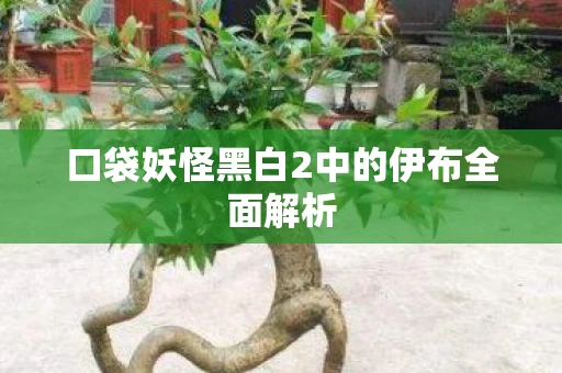 口袋妖怪黑白2中的伊布全面解析图片