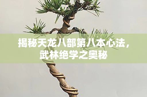 揭秘天龙八部第八本心法图片
