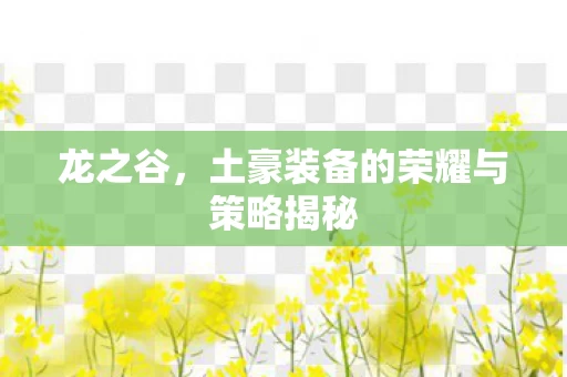 土豪装备的荣耀与策略揭秘图片