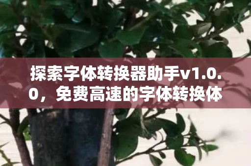 探索字体转换器助手v1图片