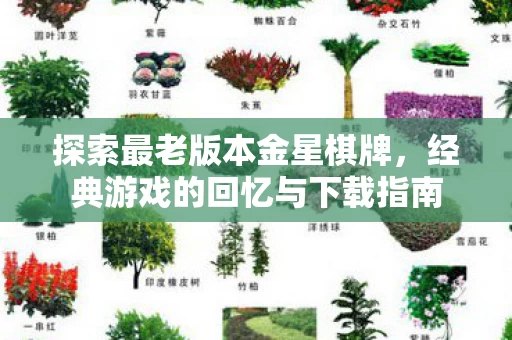 经典游戏的回忆与下载指南图片