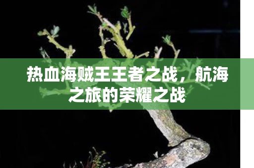 热血海贼王王者之战图片