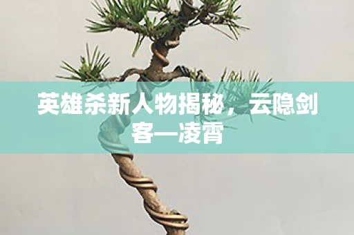 英雄杀新人物揭秘图片