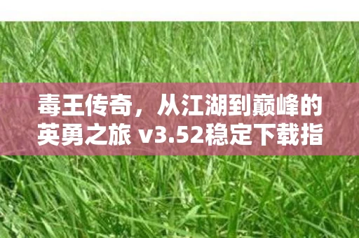 从江湖到巅峰的英勇之旅 v3图片