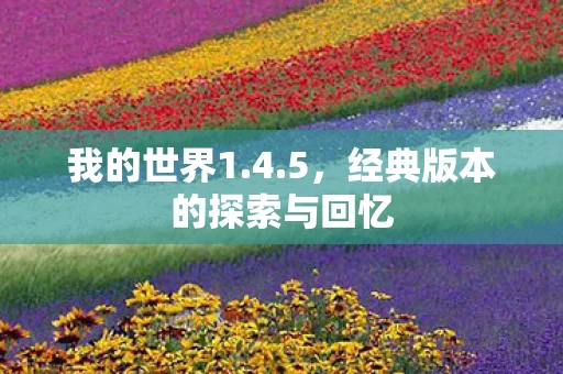 经典版本的探索与回忆图片