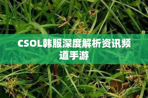 CSOL韩服深度解析资讯频道手游图片