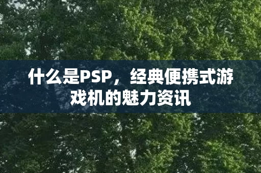 经典便携式游戏机的魅力资讯图片