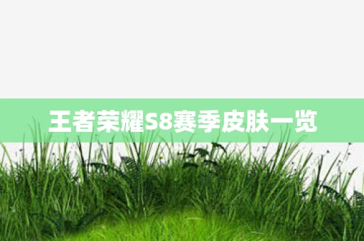 王者荣耀S8赛季皮肤一览图片