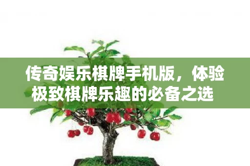 体验极致棋牌乐趣的必备之选 v4图片