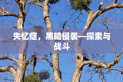 探索与战斗图片