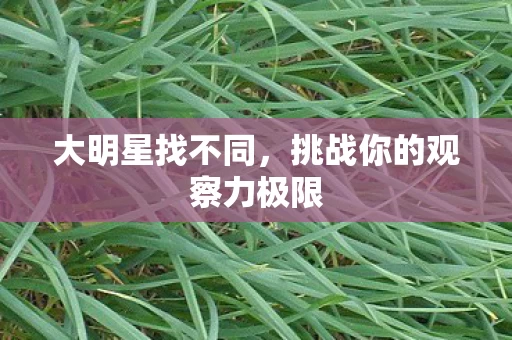 挑战你的观察力极限图片