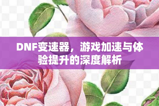 游戏加速与体验提升的深度解析图片