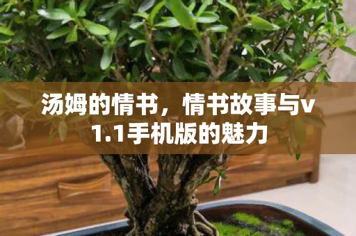 情书故事与v1图片