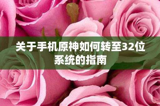 关于手机原神如何转至32位系统的指南图片
