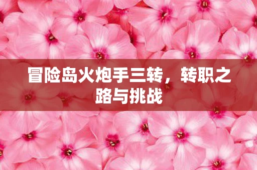 冒险岛火炮手三转图片
