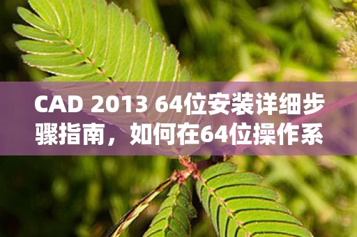 CAD 2013 64位安装详细步骤指南图片