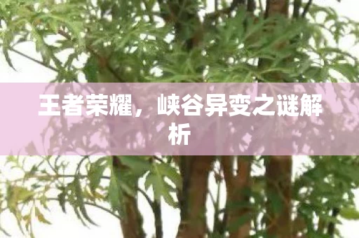 峡谷异变之谜解析图片