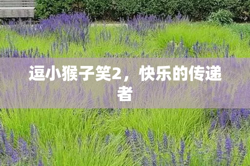 逗小猴子笑2图片