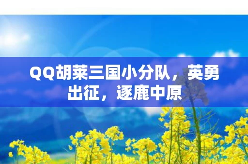 QQ胡莱三国小分队图片