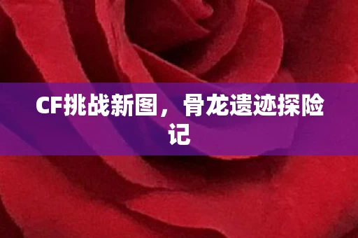 骨龙遗迹探险记图片