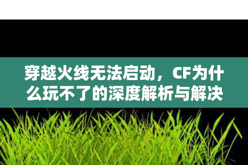 CF为什么玩不了的深度解析与解决方案图片