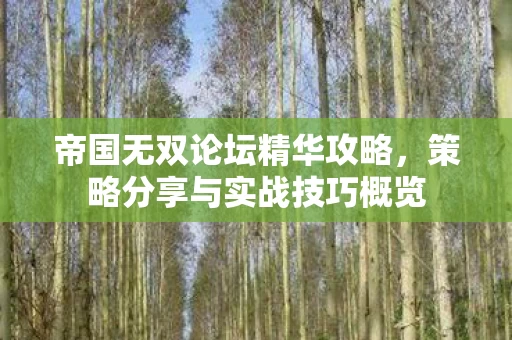 策略分享与实战技巧概览图片
