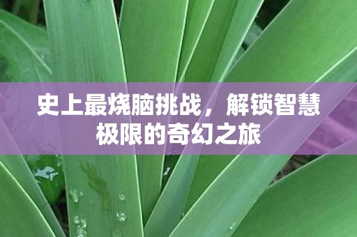 解锁智慧极限的奇幻之旅图片