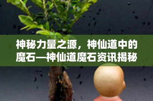 神仙道魔石资讯揭秘图片