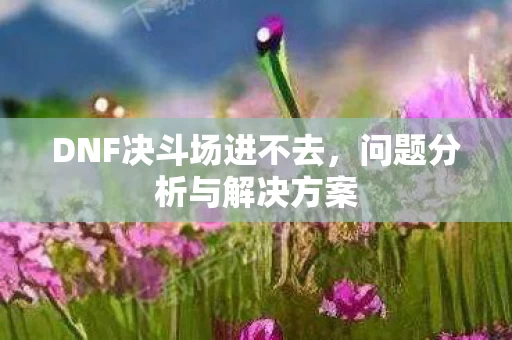 DNF决斗场进不去图片