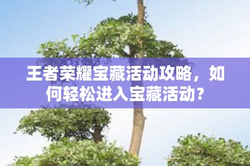 王者荣耀宝藏活动攻略图片