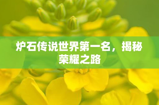 炉石传说世界第一名图片