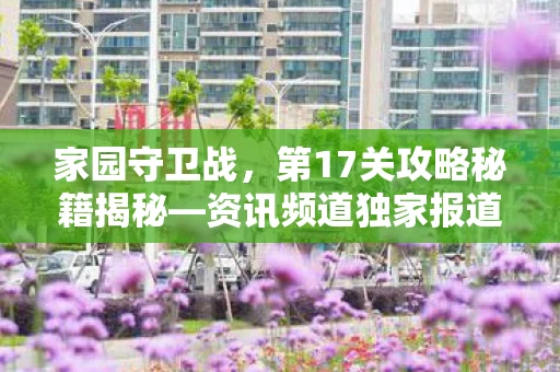 第17关攻略秘籍揭秘图片