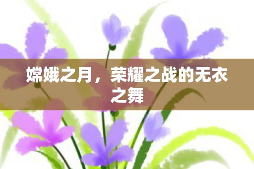 荣耀之战的无衣之舞图片